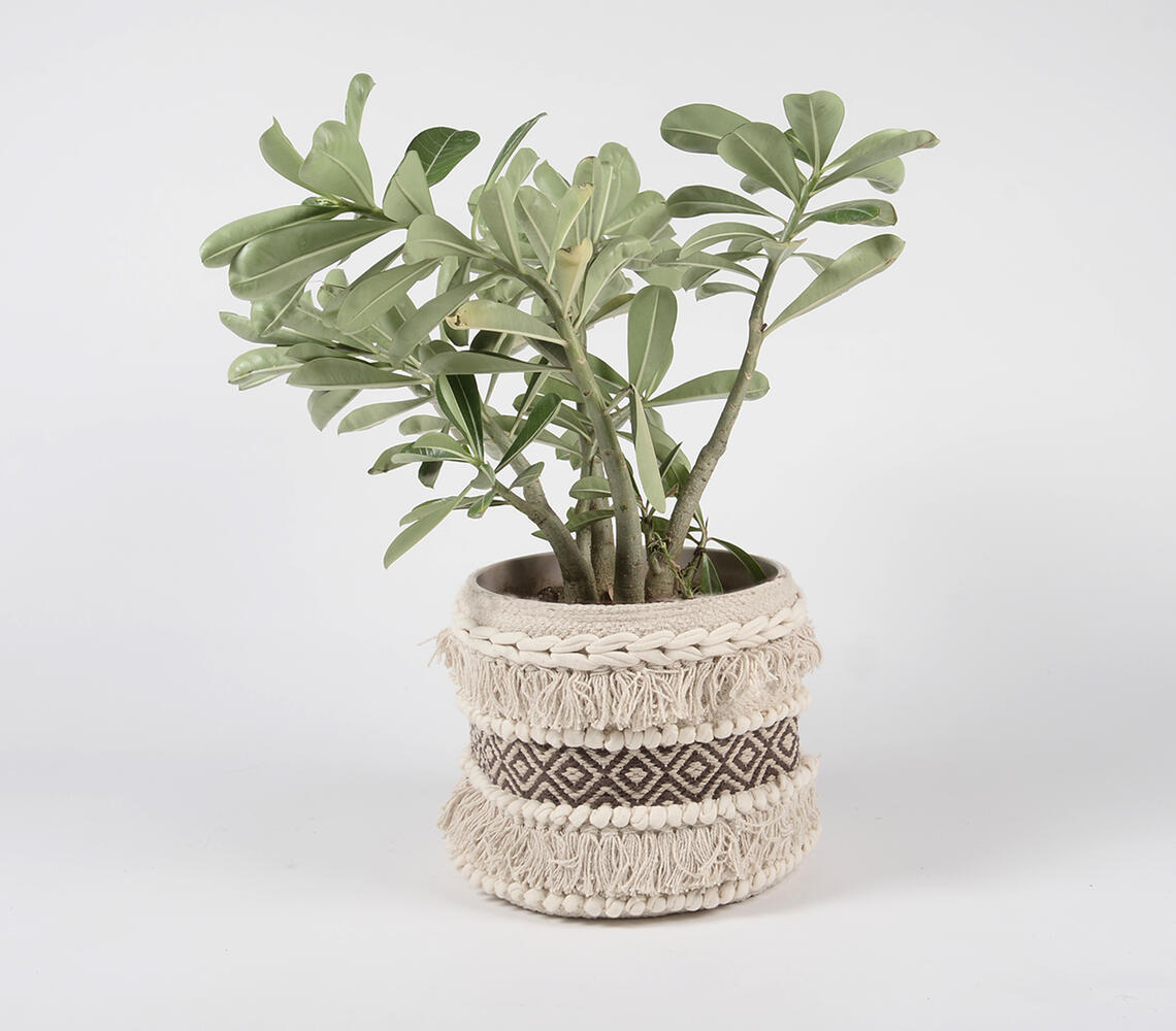 Textured & Panelled Cotton Jute  Basket - Off-White - VAQL10101272686