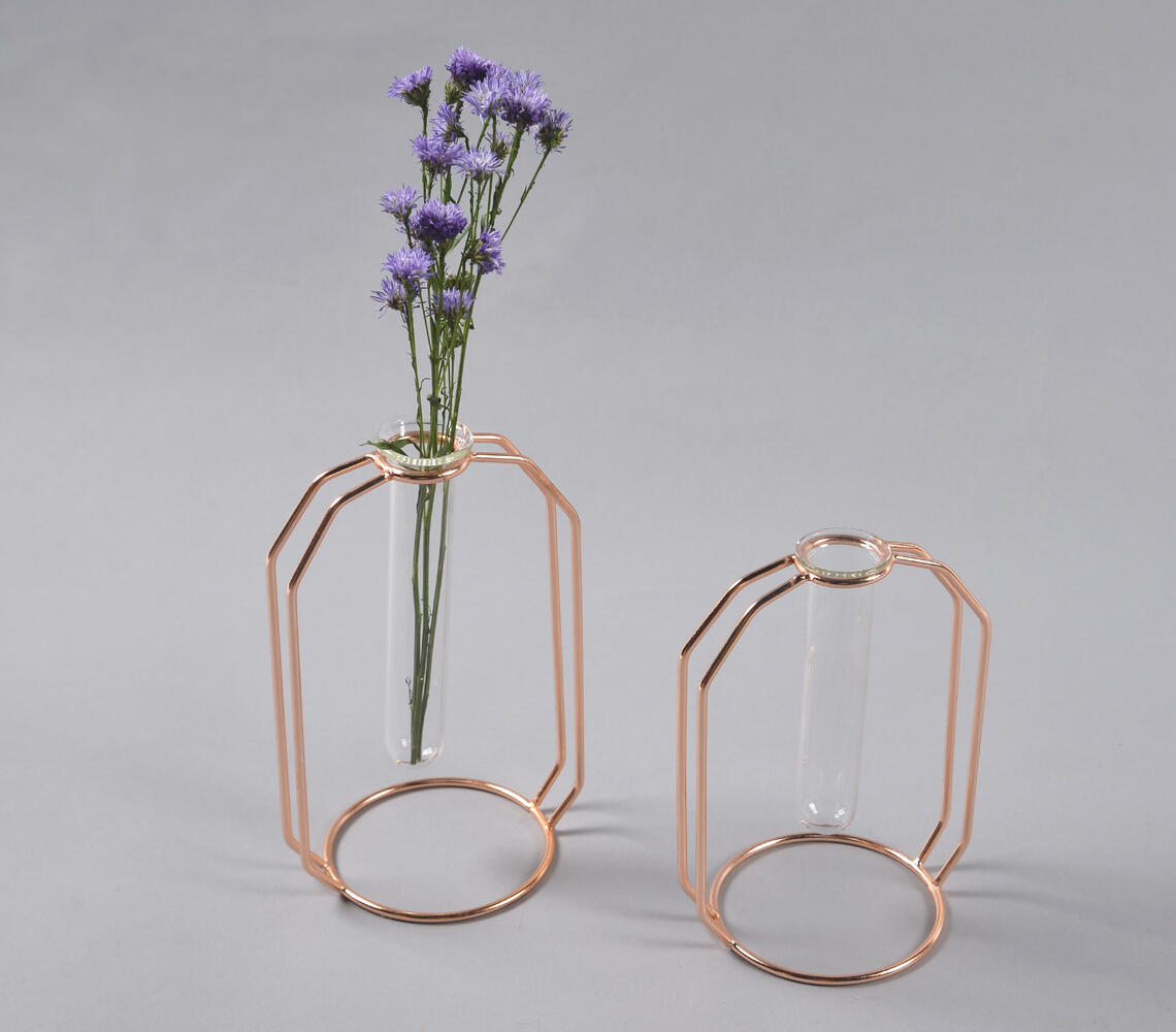 Rose-Gold Metal & Glass Test Tube Planter Vases (set of 2) - Rose-Gold - VAQL101013105123
