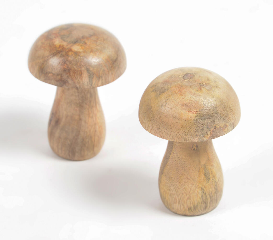 Earthy Mushroom Decoratives (Set of 2) - Natural - VAQL101013110274