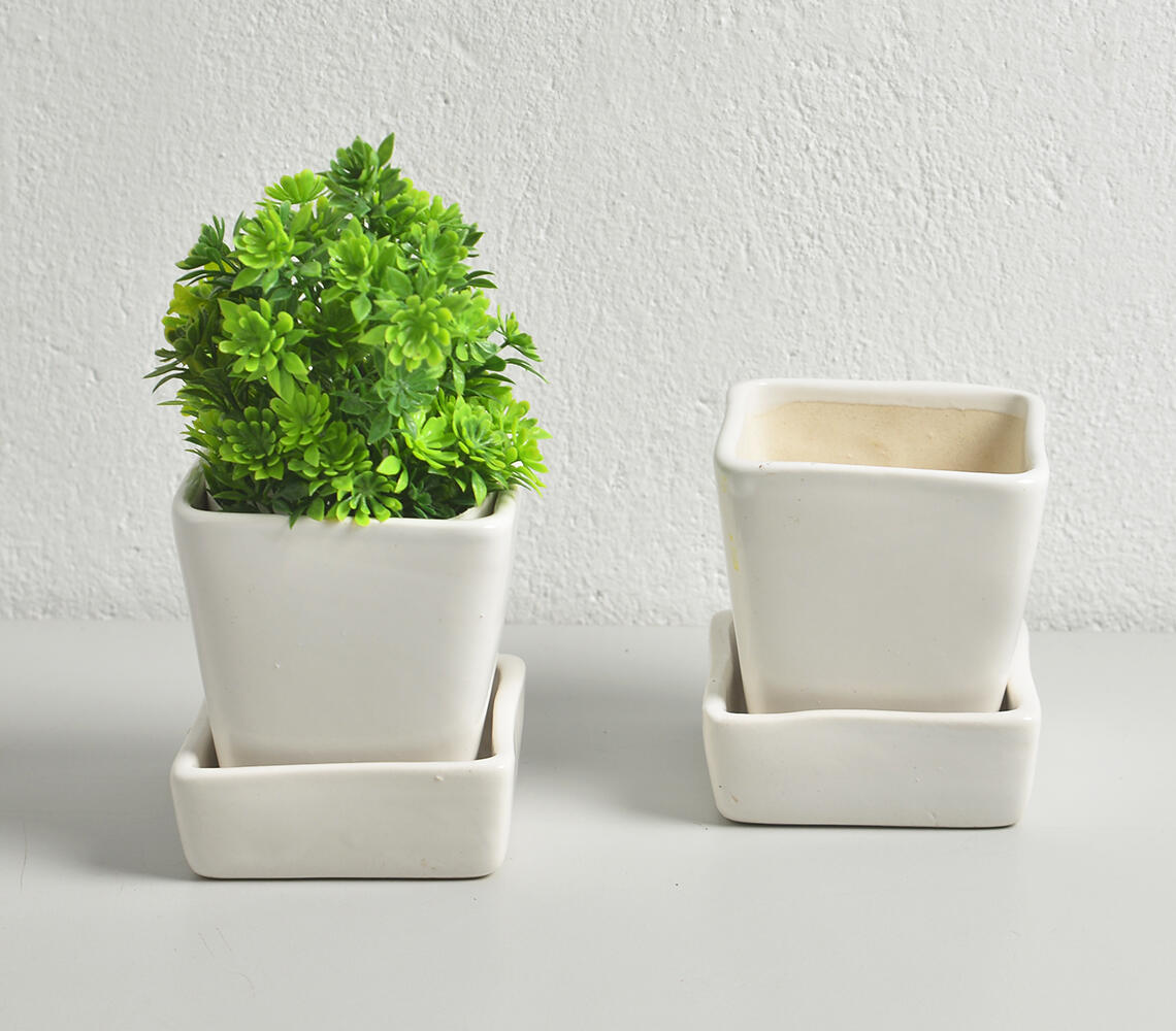 Ivory Ceramic Mini Flower pots (set of 2) - White - VAQL10101374811