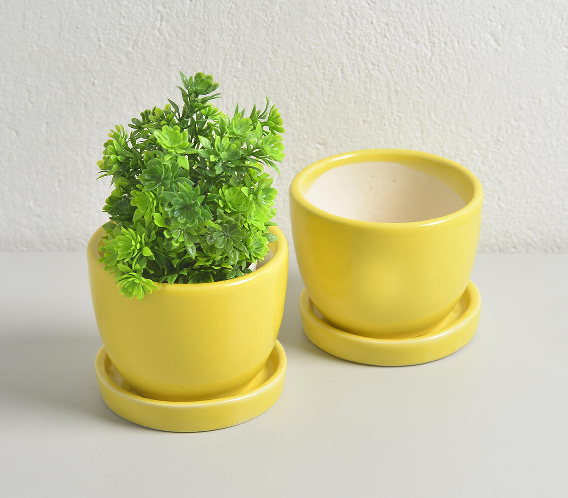 Sunshine Ceramic Mini Flower pots (set of 2) - Yellow - VAQL10101374812