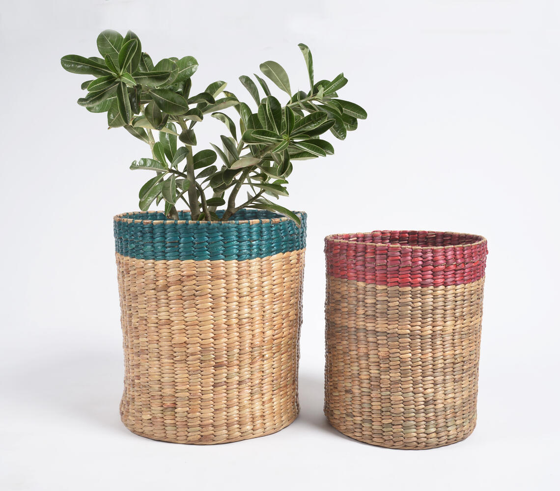 Handwoven Water Hyacinth Cylindrical Planter (Set of 2) - Multicolor - VAQL10101387387