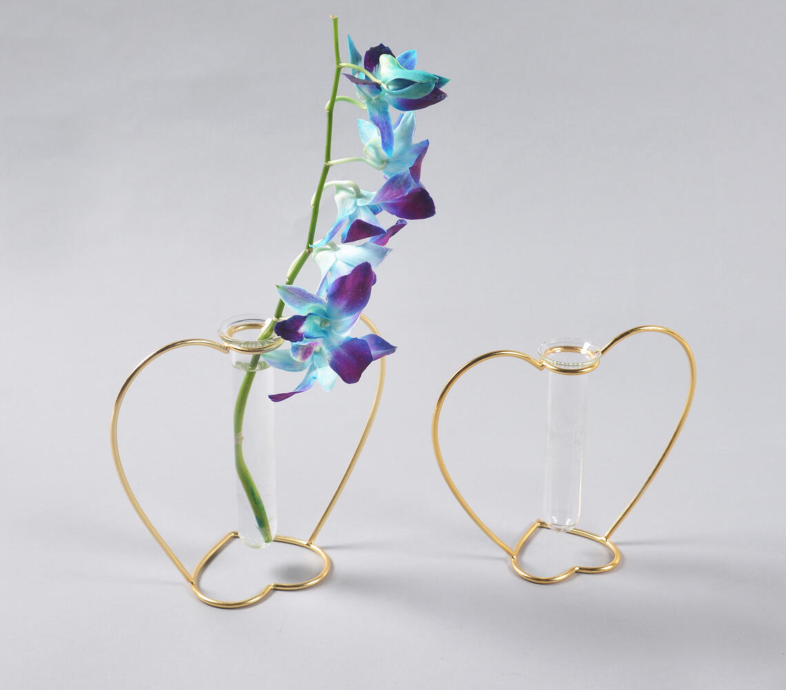 Heart-Shaped Metal & Glass Test Tube Planter Vases (set of 2) - Gold - VAQL10101387871