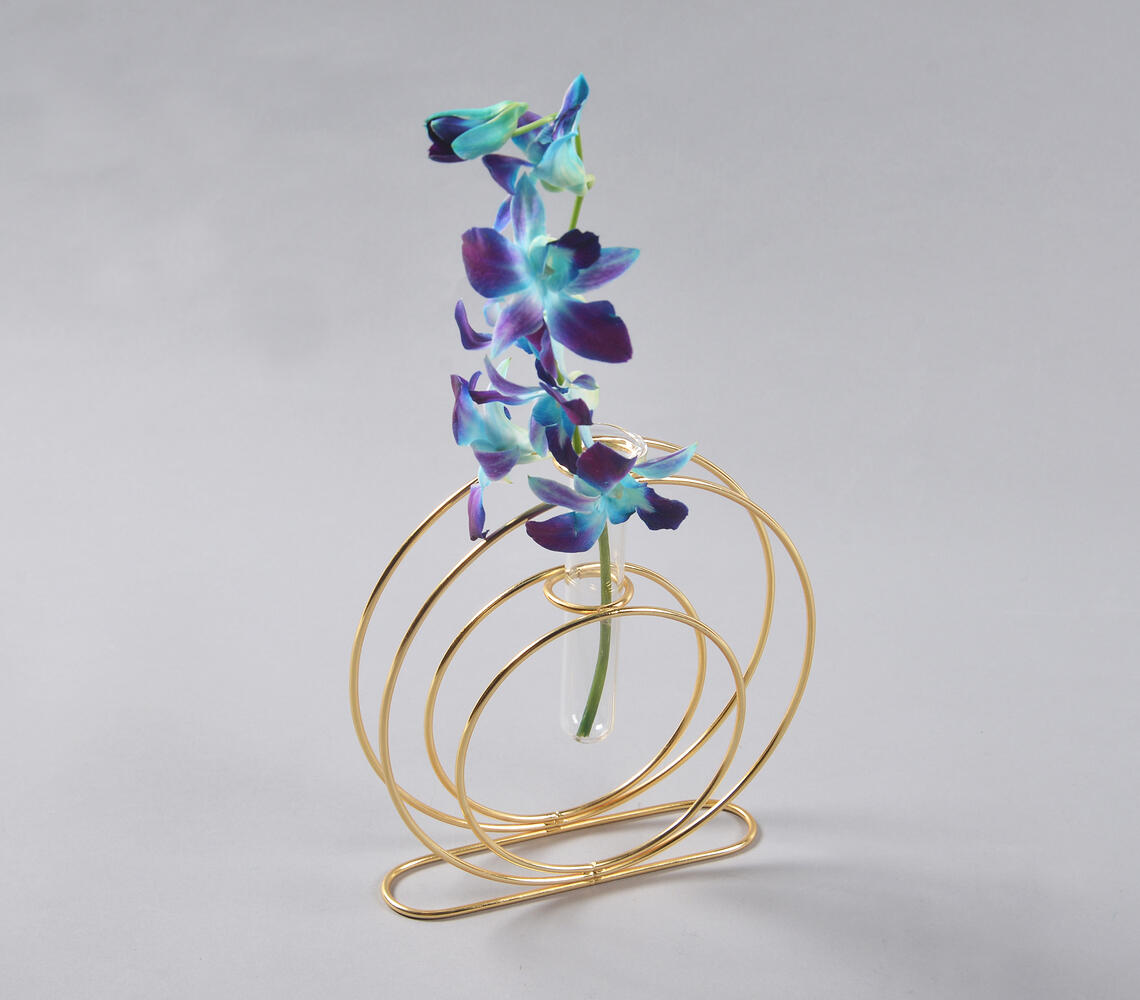 Coiled Metal & Glass Test tube Planter Vase - Gold - VAQL10101387873