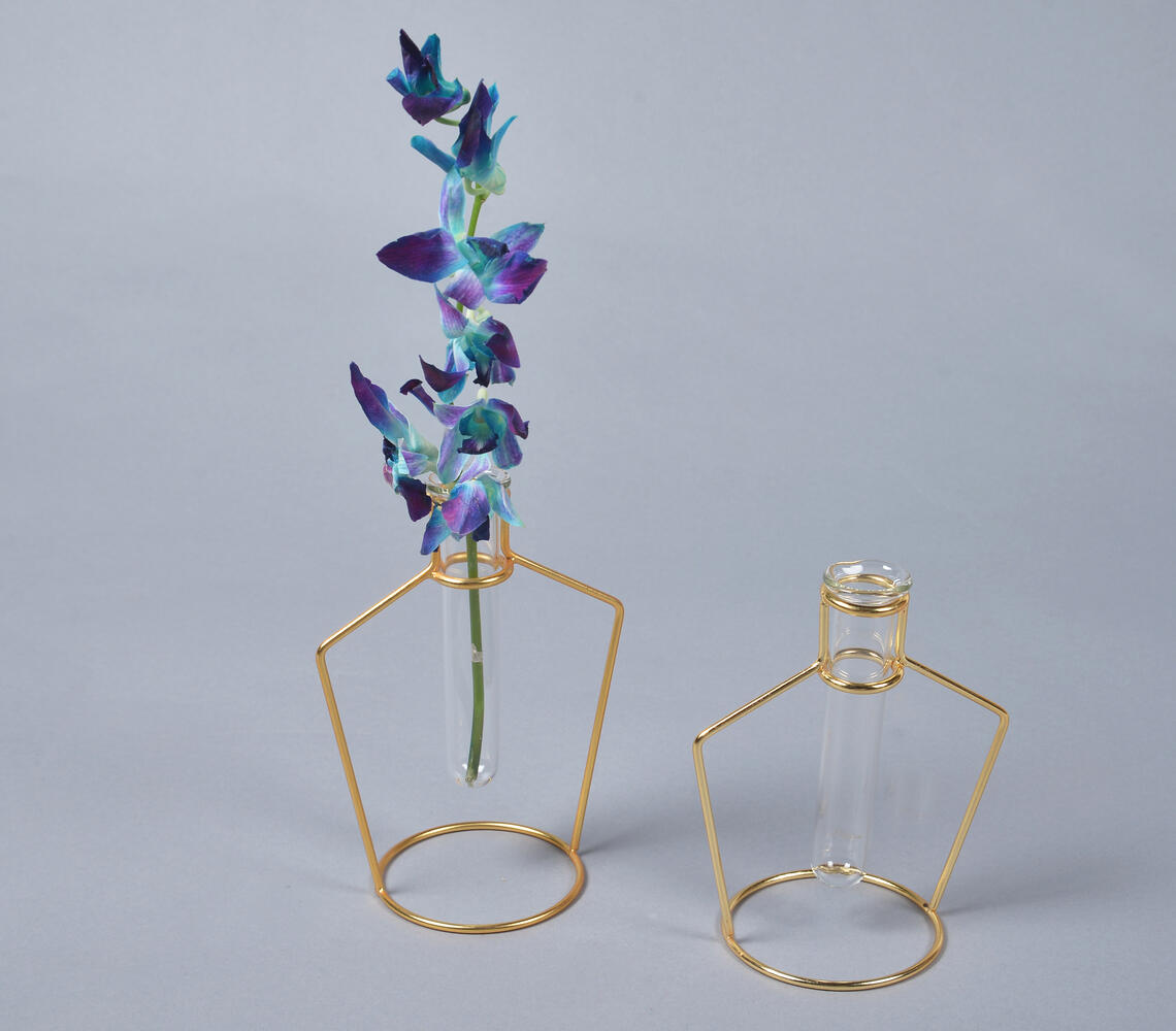 Bottle-Shaped Metal & Glass test tube Planter Vases (set of 2) - Gold - VAQL10101387877