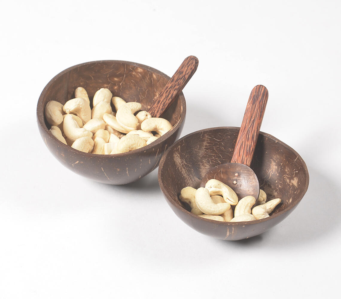 Eco-friendly Coconut Shell Bowls & Spoons (Set of 2) - Natural - VAQL10101479839